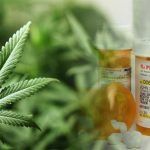 Medical Marijuana